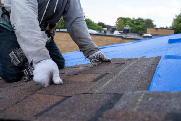 Best Roof Gutter Cleaning  in Carrabelle, FL